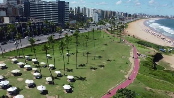 Salvador Bahia Brasil Março 2022 Vista Parque Jardim Alah Orla — Vídeo de Stock