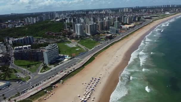 Salvador Bahia Brasil Março 2022 Vista Parque Jardim Alah Orla — Vídeo de Stock