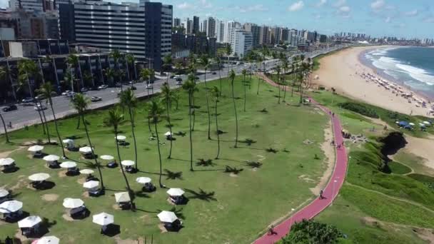 Salvador Bahia Brazil March 2022 View Jardim Alah Park Edge — Stock Video