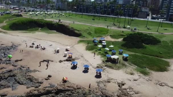 Salvador Bahia Brésil Mars 2022 Vue Sur Parc Jardim Alah — Video