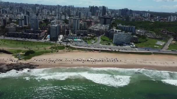 Salvador Bahia Brasil Marzo 2022 Vista Del Parque Jardim Alah — Vídeos de Stock