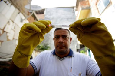 Salvador, Bahia, Brezilya - 5 Temmuz 2019: Hastalıklı bir hastalık ajanı, dang sivrisineğine neden olan aedes aegypti sivrisineklerinin üreme alanlarını araştırır..
