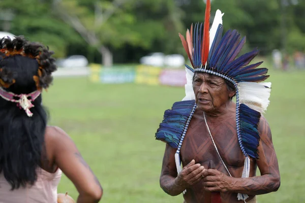 Salvador Bahia Brazílie Května 2017 Indiáni Různých Domorodých Kmenů Bahia — Stock fotografie