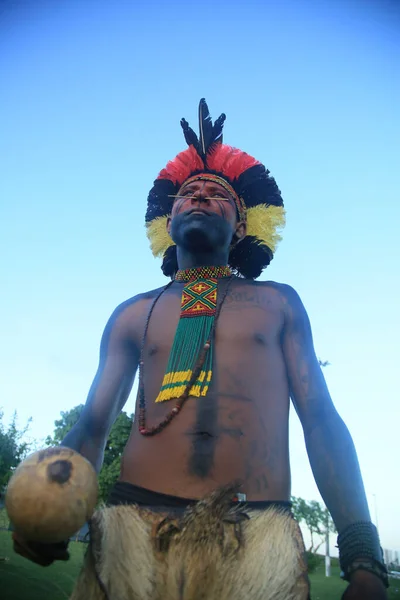 Salvador Bahia Brasil Abril 2022 Encontro Reúne Índios Diferentes Etnias — Fotografia de Stock