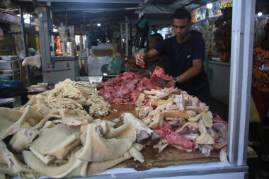 Salvador, Bahia, Brezilya - 30 Nisan 2022 Bolvina Viceras Salvador 'daki Sao Joaquim fuarında sergileniyor..