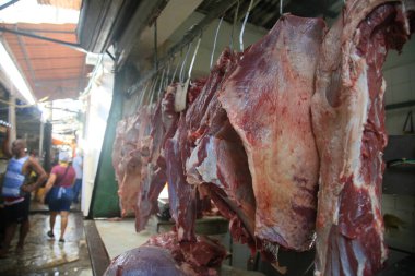 Salvador, Bahia, Brezilya - 30 Nisan 2022: Carne Bolvina Salvador 'daki Sao Joaquim fuarında sergileniyor..