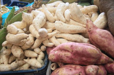 Salvador, Bahia, Brezilya - 30 Nisan 2022: Salvador 'daki Sao Joaquim fuarında satılık tatlı patates