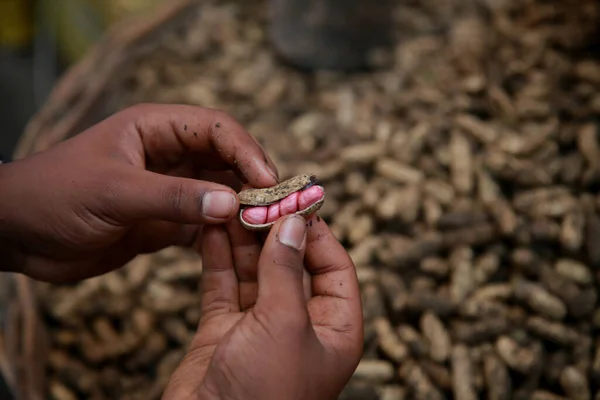 Salvador Bahia Brasil Abril 2022 Cacahuetes Cáscara Venta Feria Sao — Foto de Stock