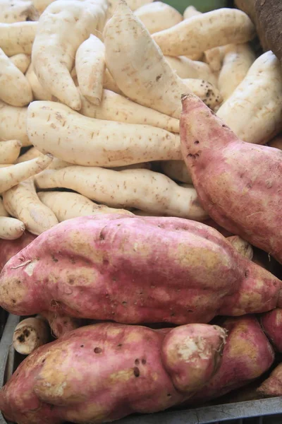 Salvador Bahia Brazil Kwietnia 2022 Słodkie Ziemniaki Sprzedaż Stoisku Targach — Zdjęcie stockowe