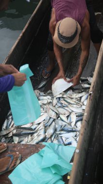salvador, bahia, brazil - april 30, 2022: Sardine fish for sale at the Sao Joaquim fair in the city of Salvador.