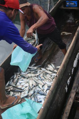 salvador, bahia, brazil - april 30, 2022: Sardine fish for sale at the Sao Joaquim fair in the city of Salvador.