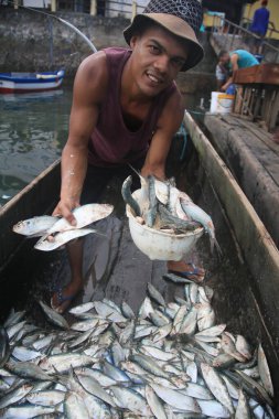 salvador, bahia, brazil - april 30, 2022: Sardine fish for sale at the Sao Joaquim fair in the city of Salvador.