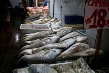 Salvador, Bahia, Brezilya - 30 Nisan 2022: Salvador 'daki Sao Joaquim fuarında dondurulmuş balık satışı.