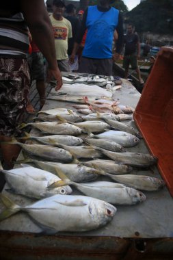 Salvador, Bahia, Brezilya - 30 Nisan 2022: Salvador 'daki Sao Joaquim fuarında dondurulmuş balık satışı.