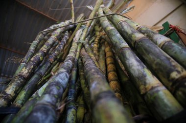 Salvador, Bahia, Brezilya - 30 Nisan 2022: Salavdor kentindeki Sao Joaquim fuarında satılık şeker kamışı.