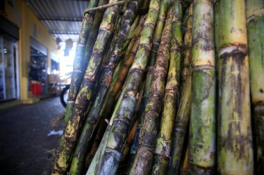 Salvador, Bahia, Brezilya - 30 Nisan 2022: Salavdor kentindeki Sao Joaquim fuarında satılık şeker kamışı.