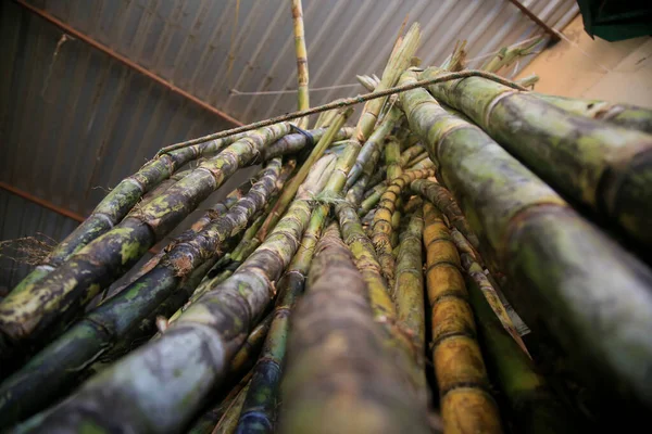 Salvador, Bahia, Brezilya - 30 Nisan 2022: Salavdor kentindeki Sao Joaquim fuarında satılık şeker kamışı.