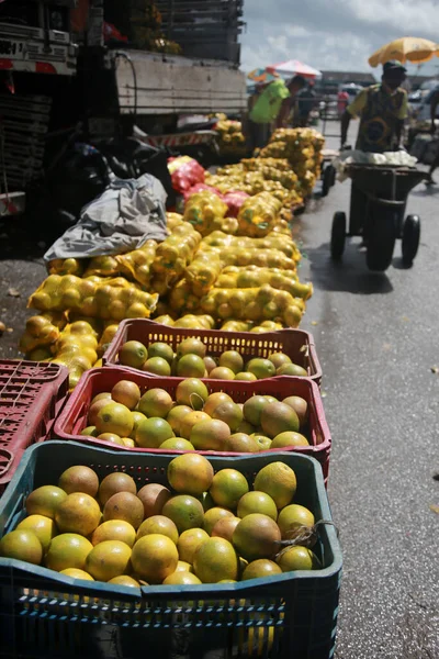 Salvador Bahia Brazil April 2022 Orange Sale Sao Joaquim Fair — Fotografia de Stock