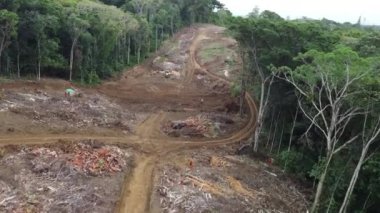 İlheus, Bahia, Brezilya - 23 Mayıs 2022: Bahia 'nın güneyinde Ilheus şehrinde bir karayolu inşaatı için Atlantik Ormanı bölgesinde ormanların yok edildiği alan.