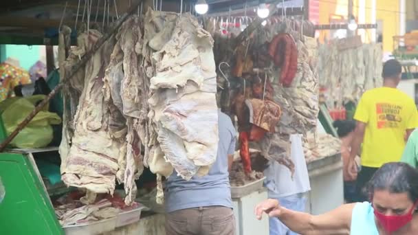 Salvador Bahia Brazil April 2022 Bolvina Jerky Sale Display Stall — Stockvideo