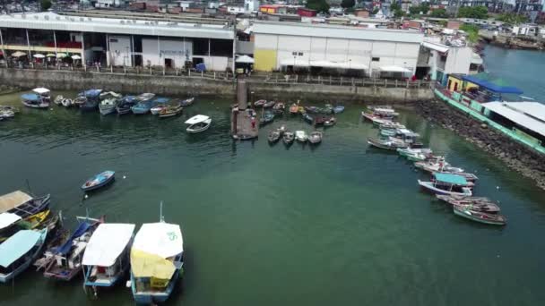 Salvador Bahia Brazil April 2021 Fishing Boats Port Next Sao — Stock video