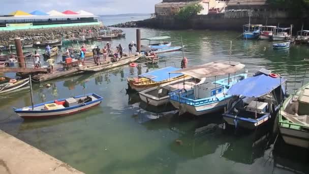 Salvador Bahia Brazil April 2021 Kapal Nelayan Pelabuhan Dekat Sao — Stok Video