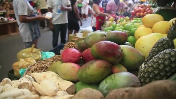 Salvador Bahia Brazil April 2021 Pelanggan Belanja Sao Joaquim Fair — Stok Video