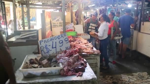 Salvador Bahia Brasile Aprile 2022 Carne Bolvina Visceri Vendita Una — Video Stock