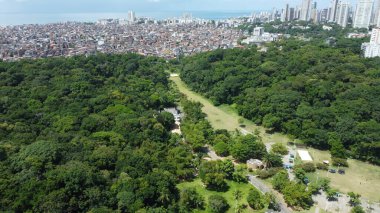 Salvador, Bahia, Brezilya - 28 Ocak 2022 Salvador 'daki Parque da Cidade manzarası