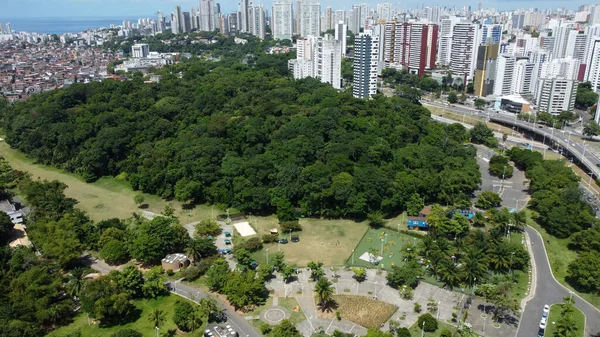 Salvador Bahia Brasil Janeiro 2022 Vista Parque Cidade Salvador — Fotografia de Stock