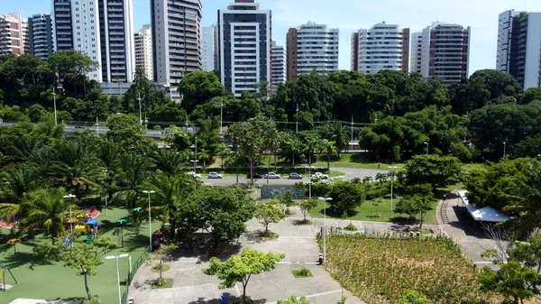 Salvador Bahia Brazylijski Styczeń 2022 Widok Parque Cidade Salvador — Zdjęcie stockowe