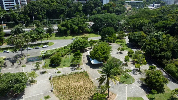 Salvador Bahia Brazil January 2022 View Parque Cidade Salvador — Stock Photo, Image