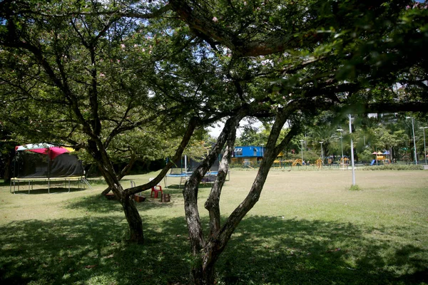 Salvador Bahia Brazílie Ledna 2022 Pohled Parque Cidade Salvadoru — Stock fotografie