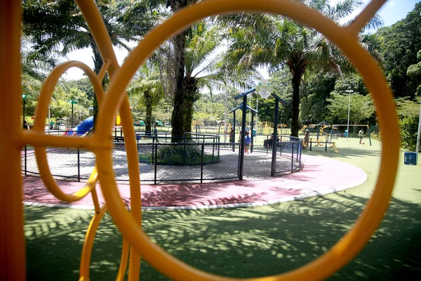 Salvador Bahia Brazília 2022 Január Parque Cidade Látképe Salvadorban — Stock Fotó