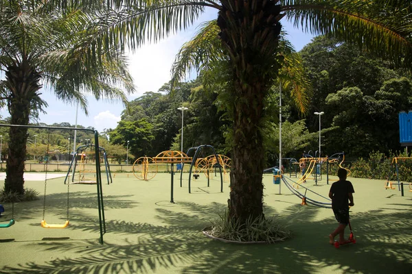 Salvador Bahia Brasil Janeiro 2022 Vista Parque Cidade Salvador — Fotografia de Stock