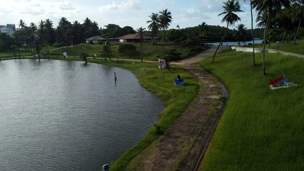 Salvador Bahia Brazil January 2022 View Metropolitan Park Pituacu Salvador — 스톡 사진