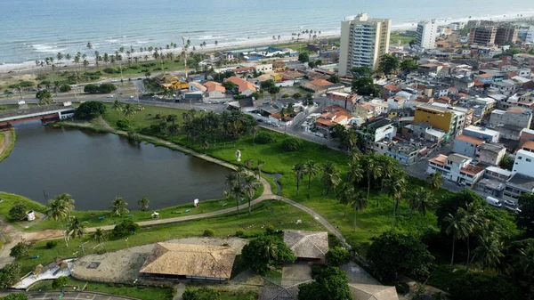 Salvador Bahia Brésil Janvier 2022 Vue Parc Métropolitain Pituacu Dans — Photo