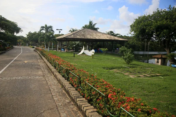 2022年1月27日 萨尔瓦多市皮特瓦库都市公园景观 — 图库照片