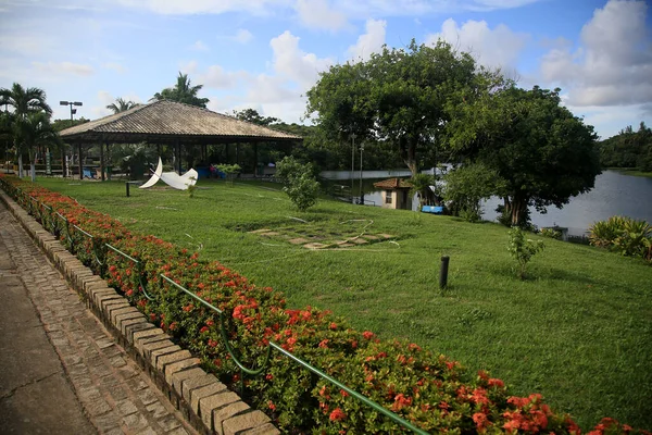 Salvador Bahia Brazílie Ledna 2022 Pohled Metropolitní Park Pituacu Městě — Stock fotografie