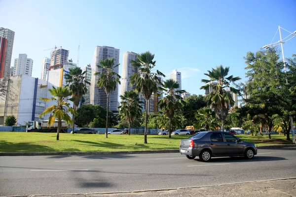 Salvador Bahia Braziliaans Februari 2022 Mediaan Van Een Laan Regio — Stockfoto