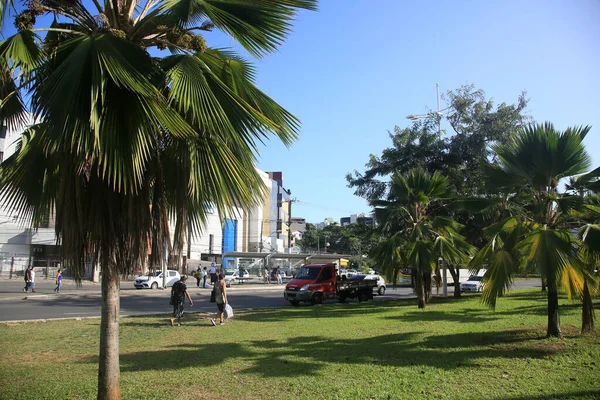 Salvador Bahia Brasil Fevereiro 2022 Mediana Uma Avenida Região Lucaia — Fotografia de Stock