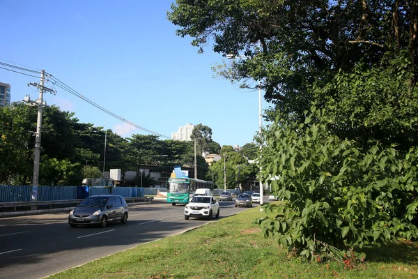 Salvador Bahia Brasil Fevereiro 2022 Mediana Uma Avenida Região Lucaia — Fotografia de Stock