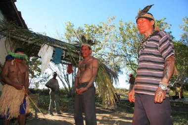 prado, bahia, brezil- 18 Temmuz 2008: Güney Bahia 'daki Prado belediyesine bağlı Cahi köyünden Pataxos yerlileri.