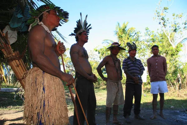 Prado Bahia Brazil July 2008 Pataxos Indians Cahi Village Municipality — 图库照片