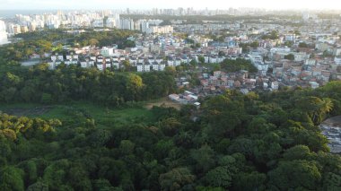 salvador, bahia, brazil - august 15, 2022: aerial view of a wooded area next to houses in the Cabula neighborhood in the city of Salvador.