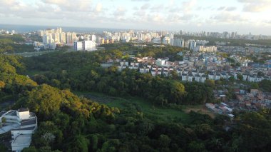 salvador, bahia, brazil - august 15, 2022: aerial view of a wooded area next to houses in the Cabula neighborhood in the city of Salvador.