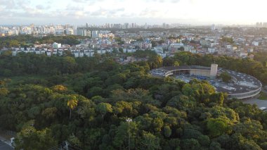 salvador, bahia, brazil - august 15, 2022: aerial view of a wooded area next to houses in the Cabula neighborhood in the city of Salvador.