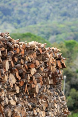 Gandu, Bahia, Brezilya - 6 Ekim 2022: Güney Bahia 'daki ormanların tahrip edilmesinden odun yükleme kamyonu.