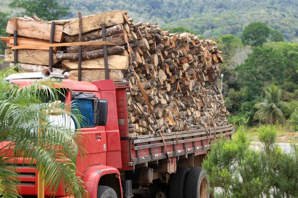 Ганду Баия Бразилия Октября 2022 Года Погрузка Древесины Грузовиком Вырубки — стоковое фото