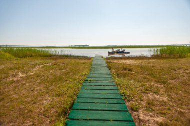 Göle giden eski yeşil ahşap patika.
